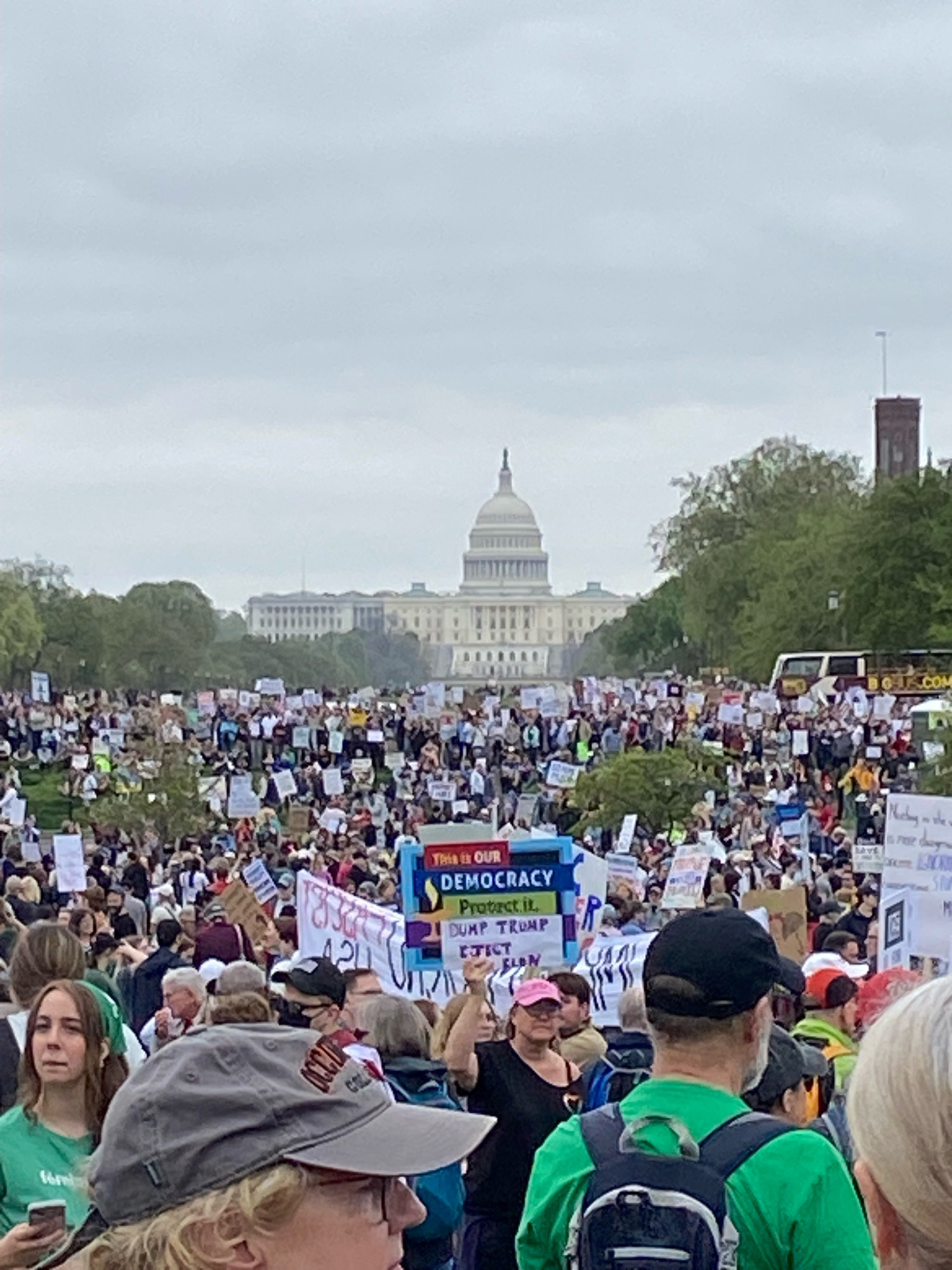 Washington DC protest photo 1