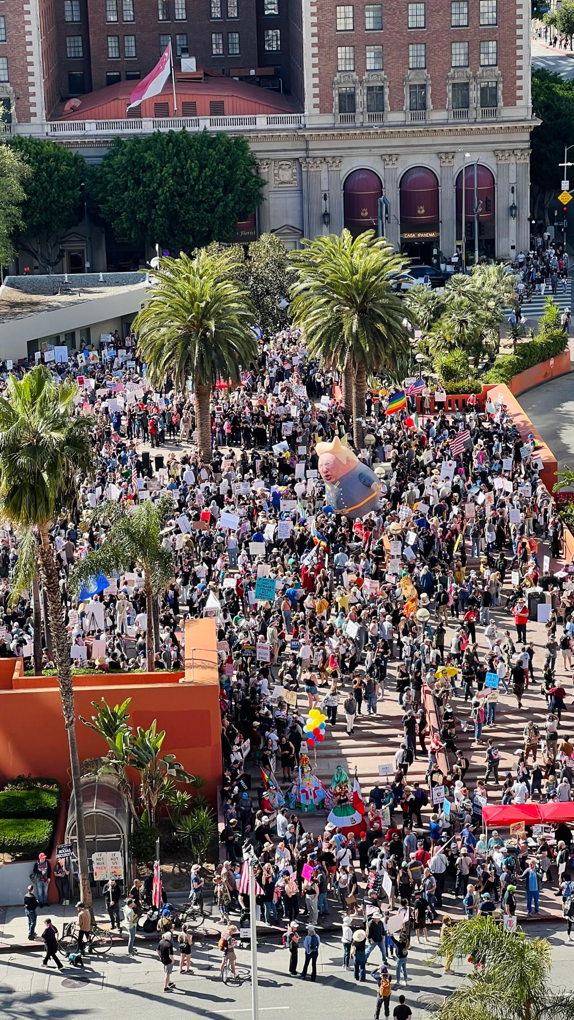 Los Angeles protest photo 2