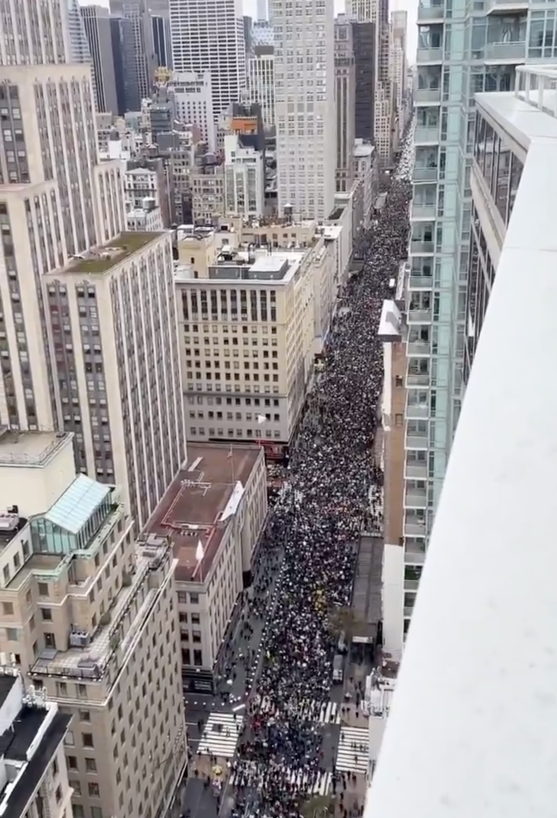 New York protest photo 1