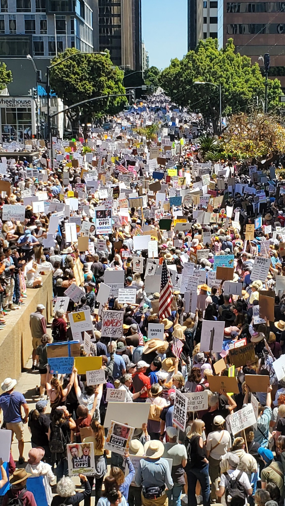 San Diego protest photo 2
